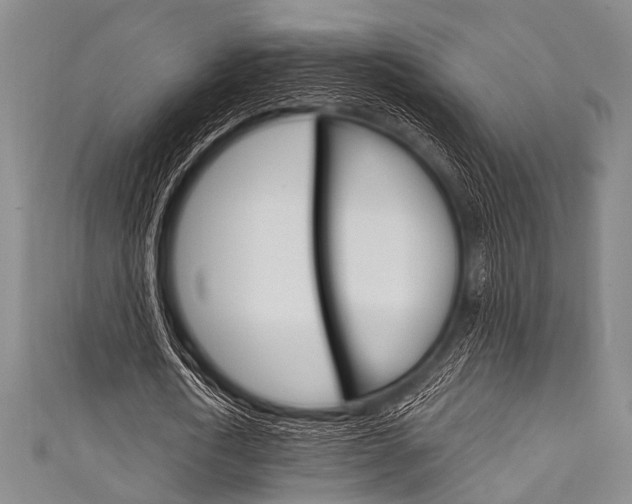 X0000111830722200907231021