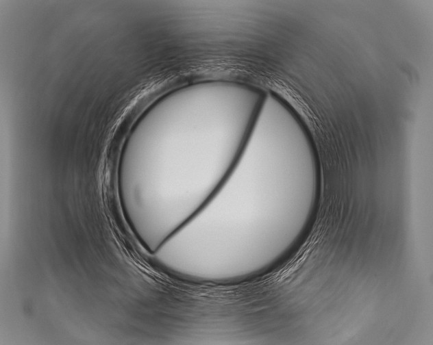 X0000111830723200907231021