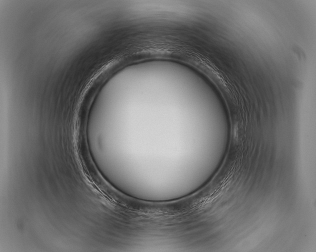 X0000111830724200907231021