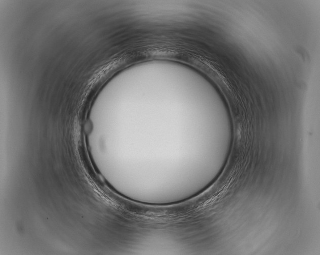 X0000111830725200907231022