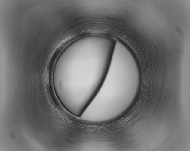 X0000111830727200907231022