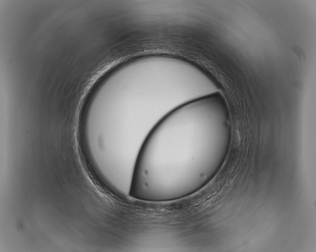 X0000111830728200907231022