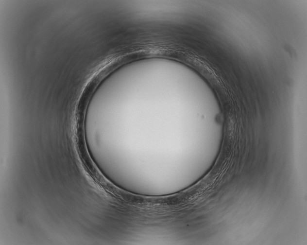 X0000111830730200907231022