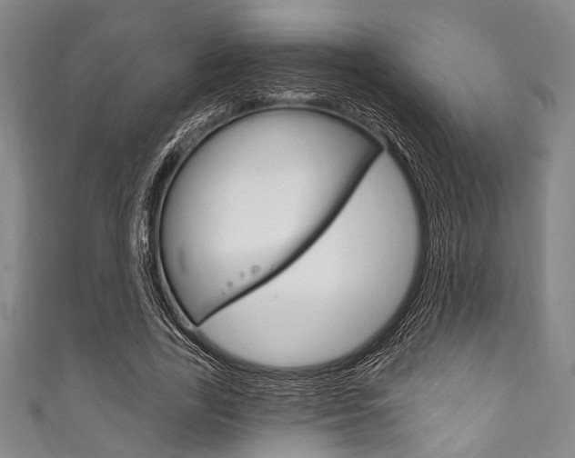 X0000111830731200907231022