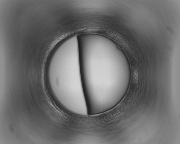 X0000111830732200907231022