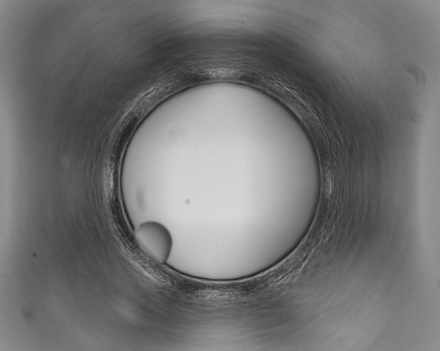 X0000111830733200907231022