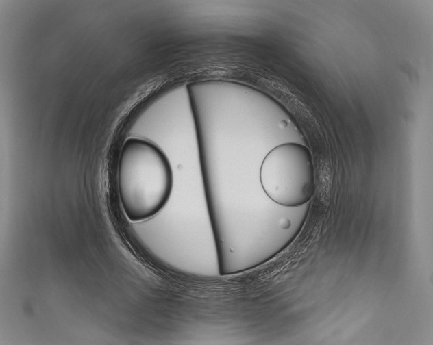 X0000111830734200907231022