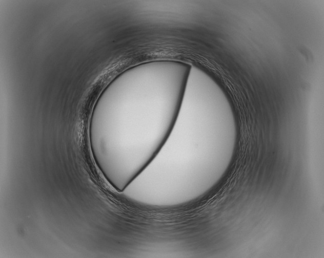 X0000111830735200907231022