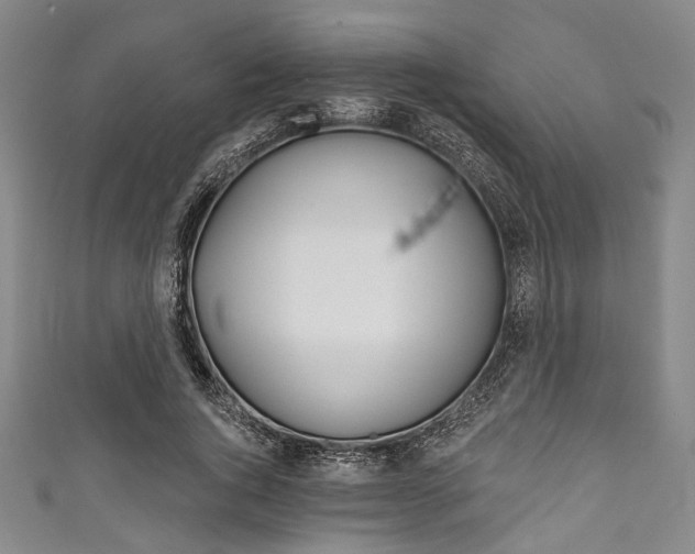 X0000111830736200907231022