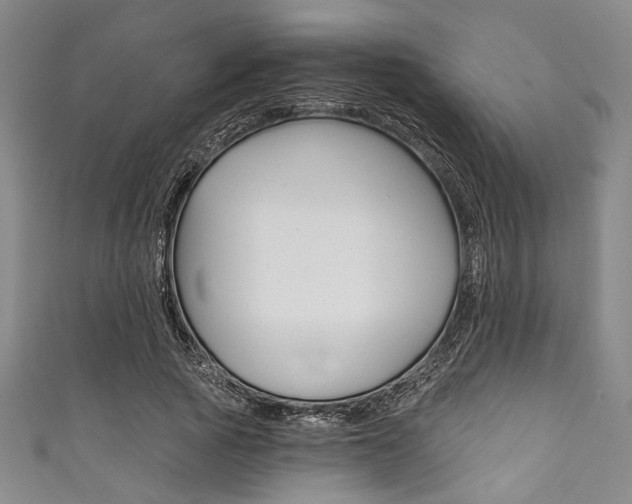X0000111830737200907231022
