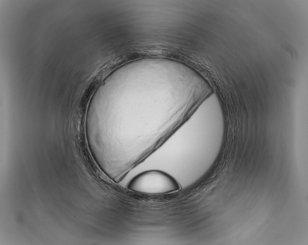 X0000111830739200907231022