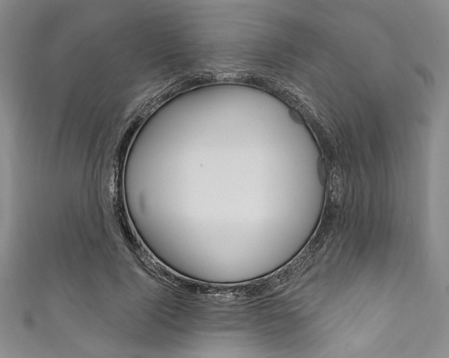 X0000111830740200907231022