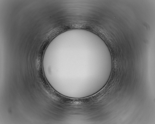 X0000111830741200907231022