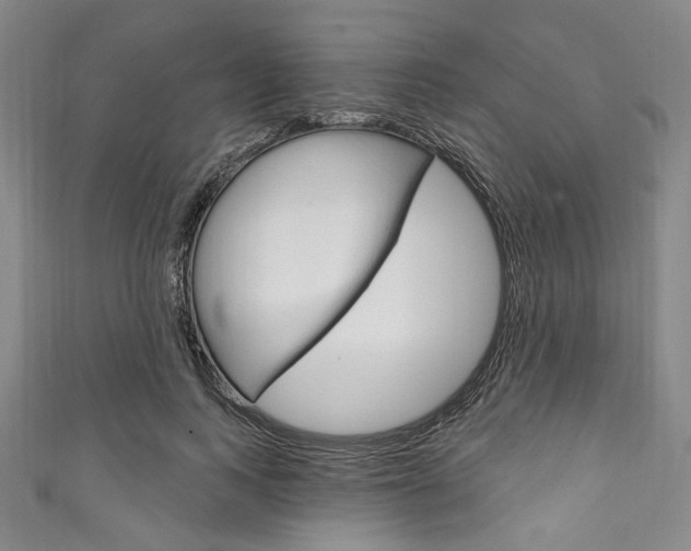 X0000111830743200907231022