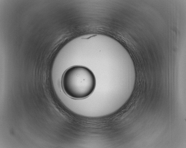 X0000111830744200907231022
