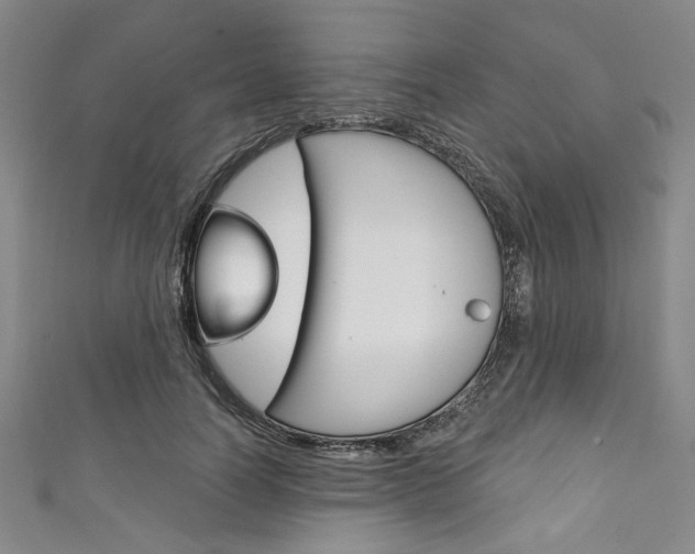 X0000111830746200907231022