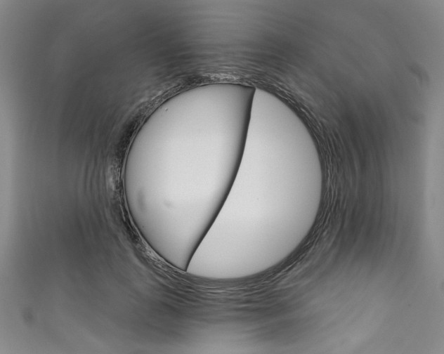 X0000111830747200907231022