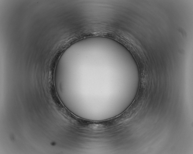 X0000111830748200907231022