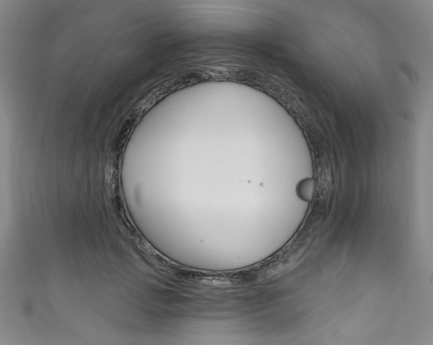 X0000111830749200907231022