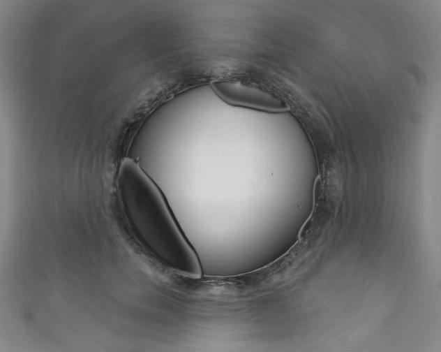 X0000111830750200907231022