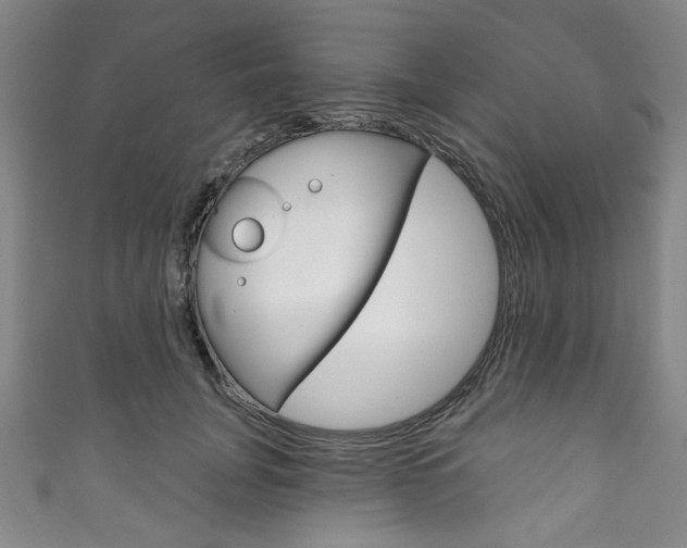 X0000111830751200907231022