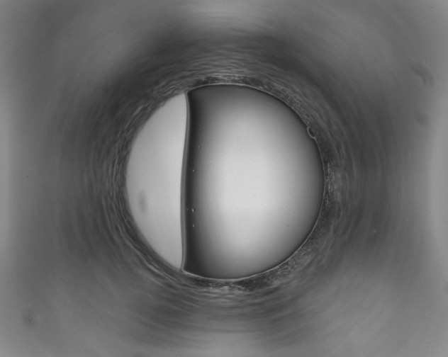 X0000111830752200907231022