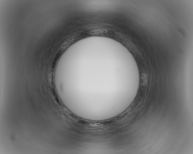 X0000111830753200907231022