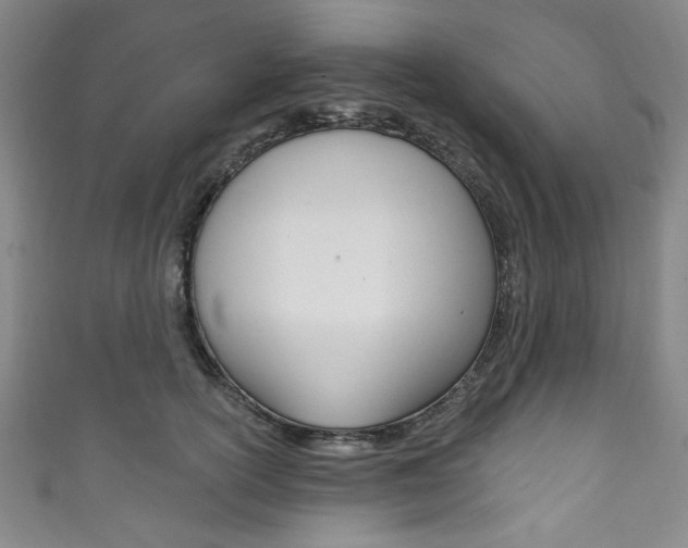 X0000111830754200907231022