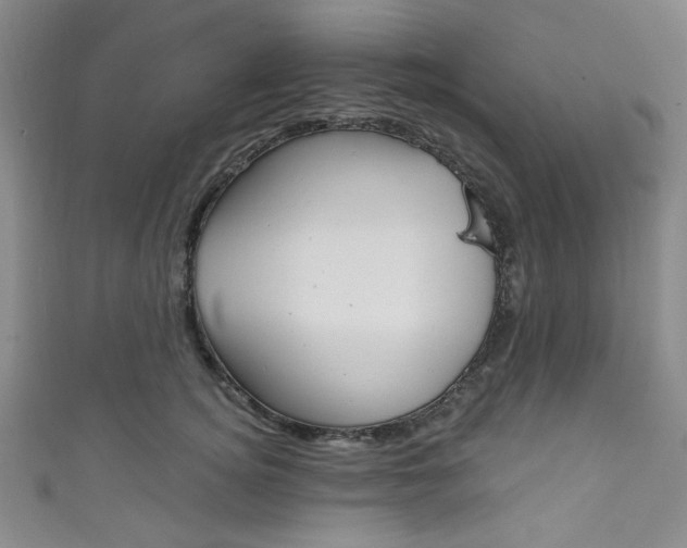 X0000111830756200907231022