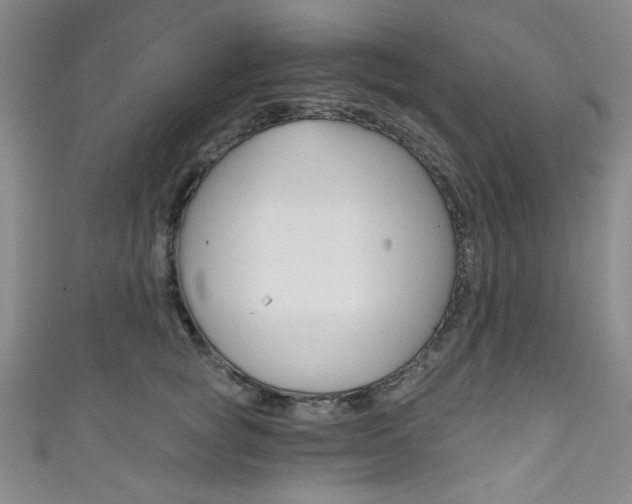 X0000111830757200907231022