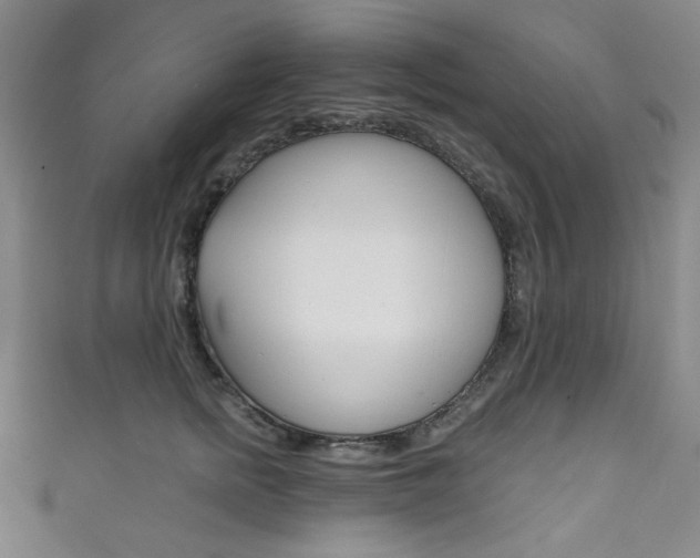 X0000111830758200907231022