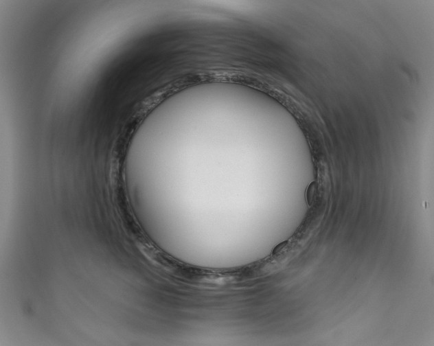 X0000111830760200907231022