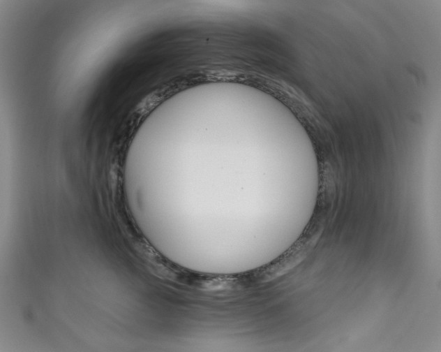 X0000111830761200907231022