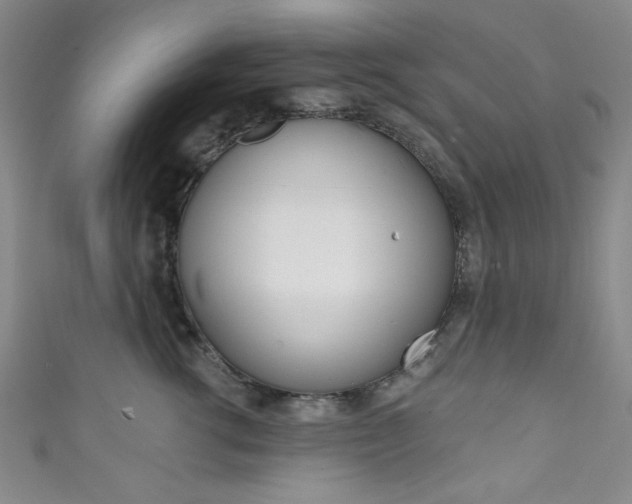 X0000111830762200907231022