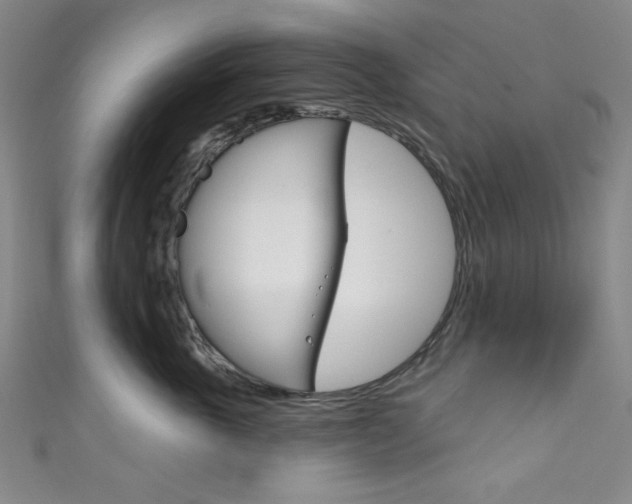 X0000111830763200907231022
