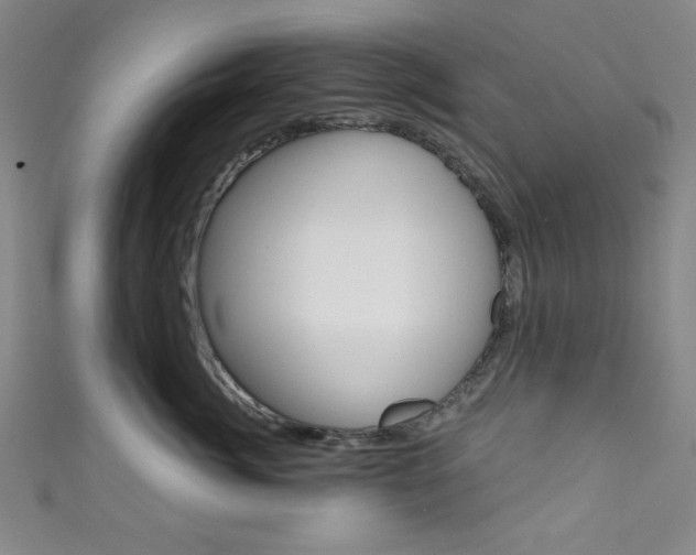 X0000111830764200907231022