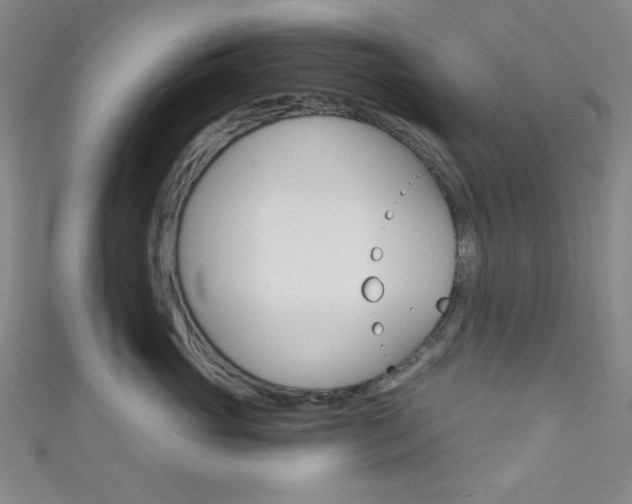 X0000111830765200907231022