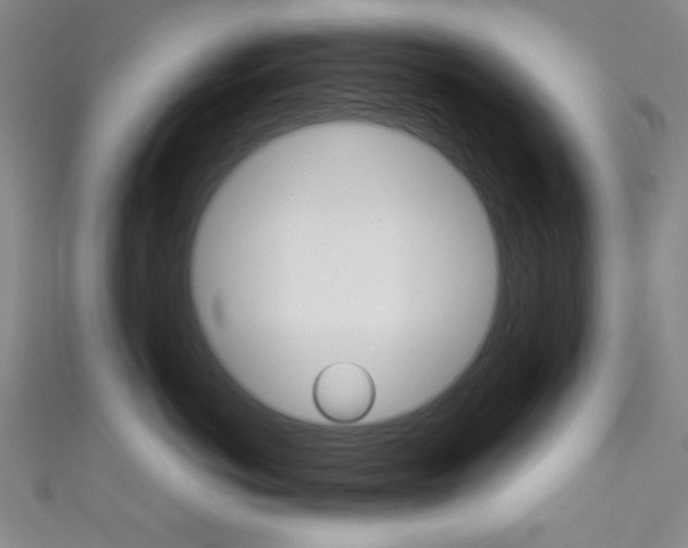X0000111830766200907231022