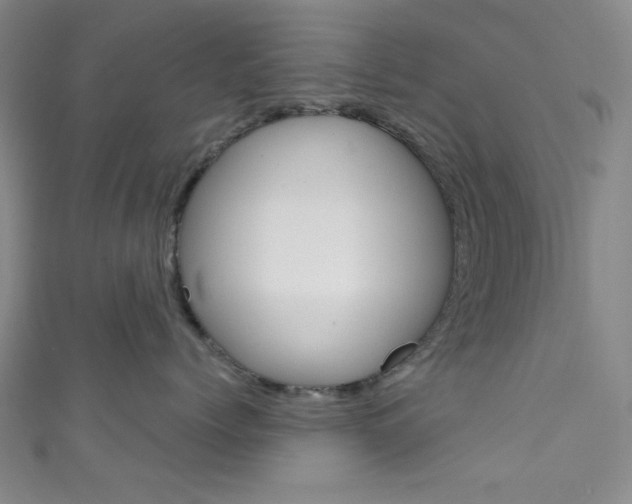 X0000111830768200907231022