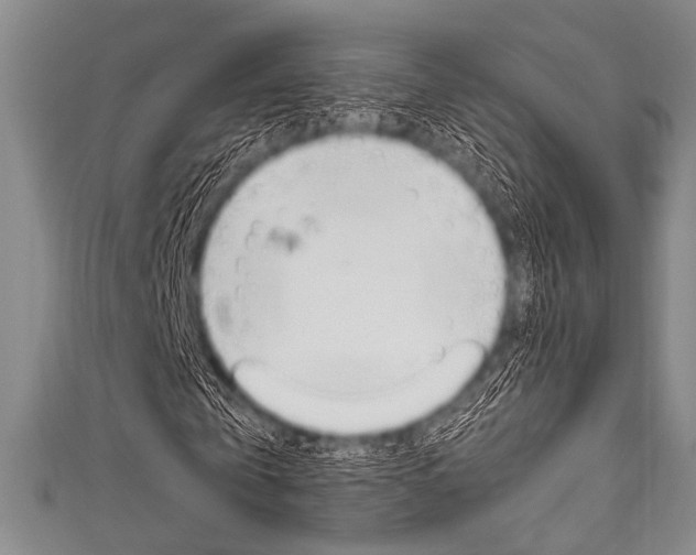 X0000111830769200907231021