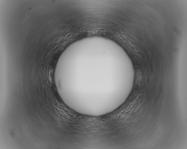 X0000111830770200907231021