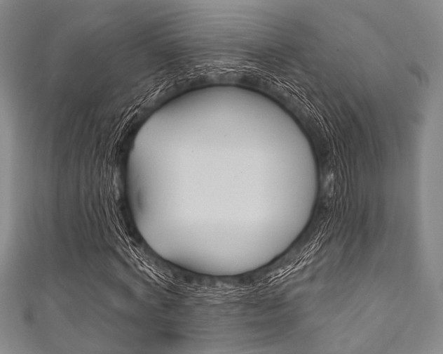 X0000111830772200907231021