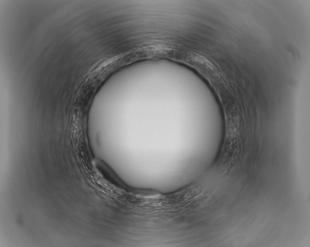 X0000111830773200907231021