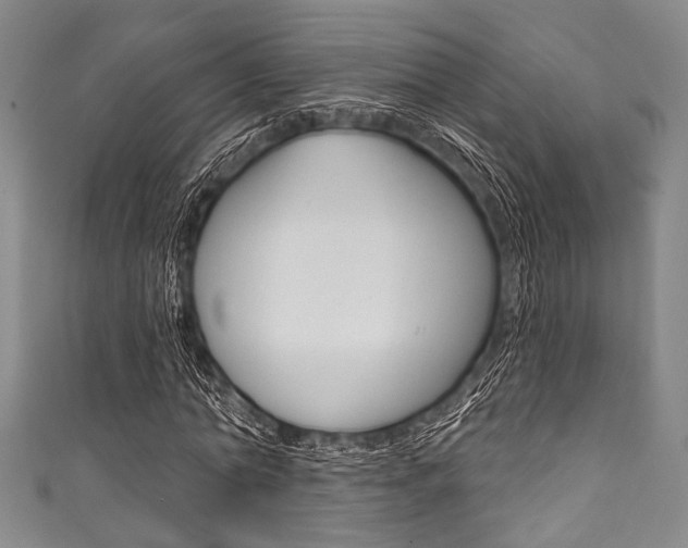 X0000111830774200907231021