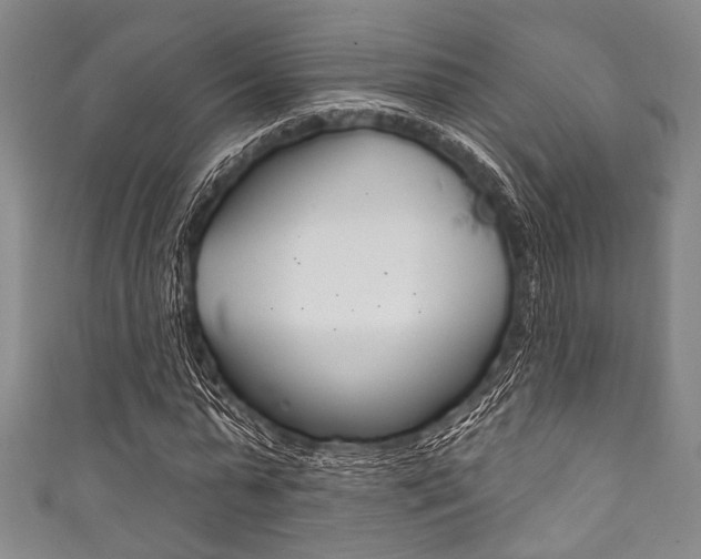 X0000111830775200907231021