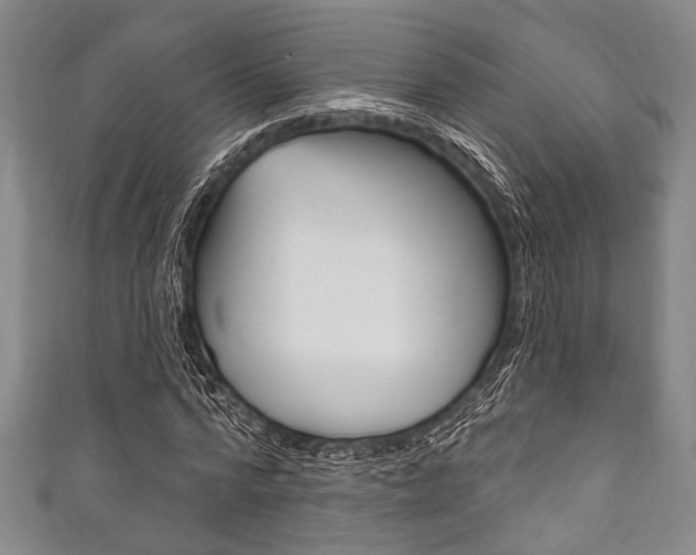 X0000111830776200907231021