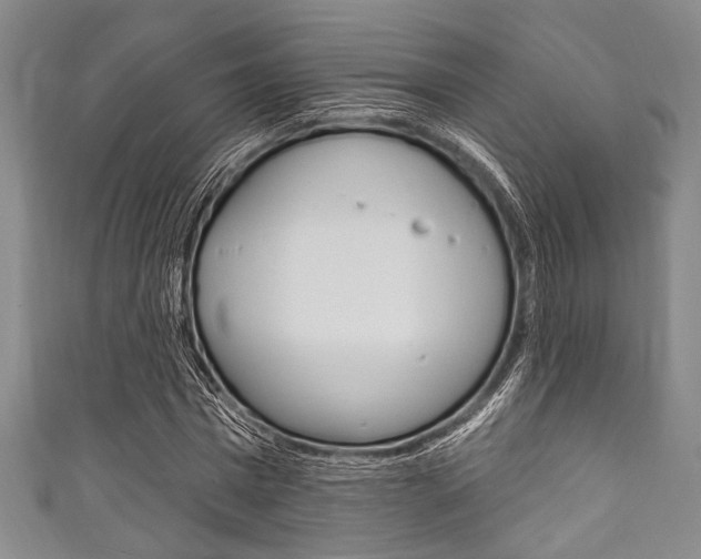 X0000111830777200907231021