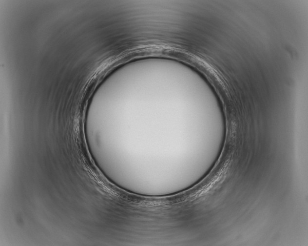 X0000111830778200907231021
