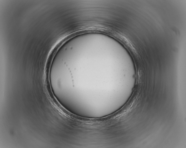 X0000111830780200907231021