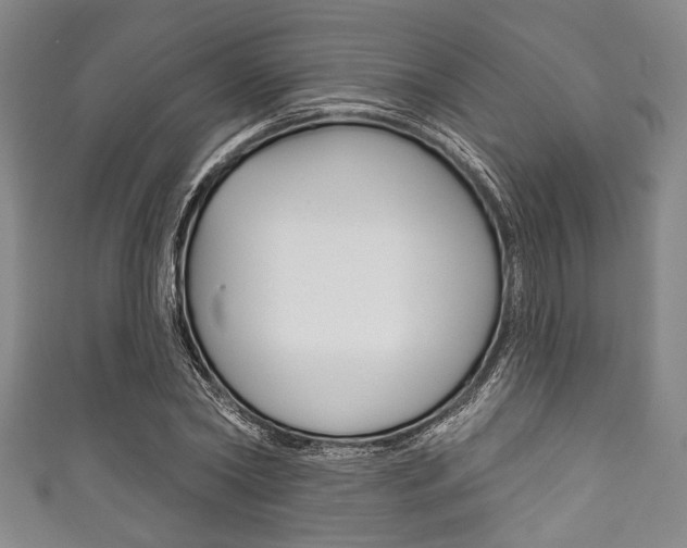 X0000111830782200907231021